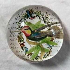 Glass Paperweight Colorful Humming bird Dome Decoupage Paperweight